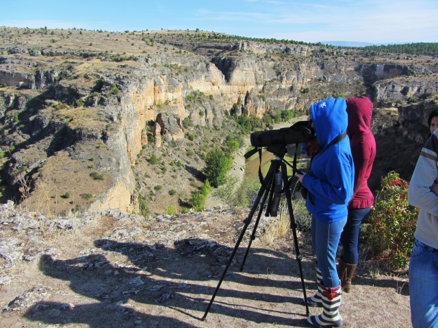  Observation depuis le sommet 